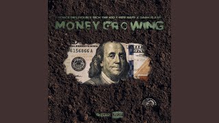 Money Growing (Remix) (feat. Riff Raff, Rich the Kid & Ponce De'leioun)