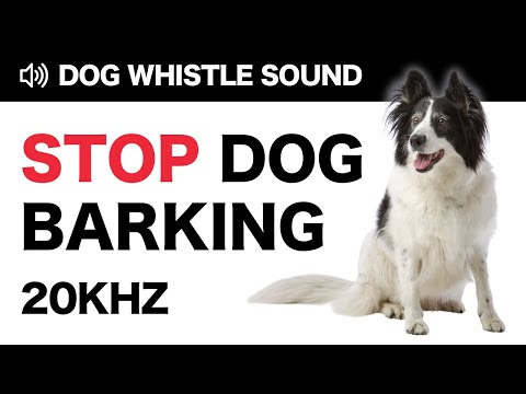 Stop Dog Barking Fast with a Dog Whistle | Almost Silent to Humans