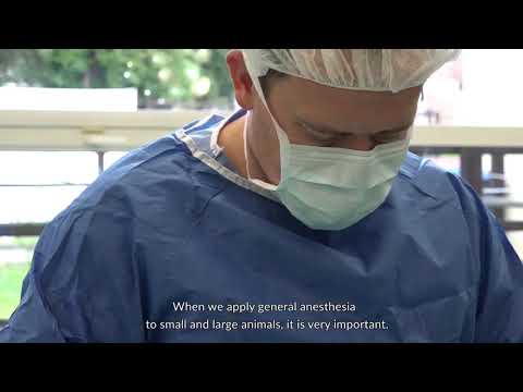 FutureNet Foundation   Wrocław University of Environmental and Life Sciences'