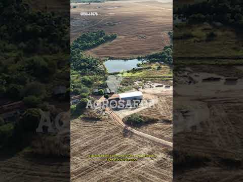 🌾 AGROSAFRA – OPORTUNIDADE DE INVESTIMENTO | Nova Rosalândia – TO #agro #fazenda