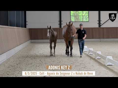 ADONIS KEY Z