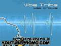 vibe tribe - Secrets - Secrets CDS