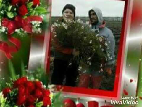 Kara gözlüm kadriye