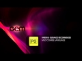 GEM Advisory PG 2013