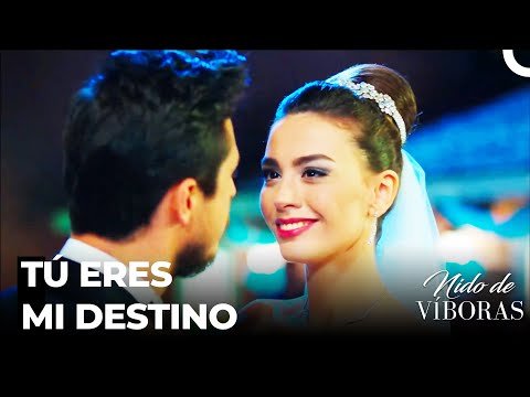 El Día Mas Feliz De Ejder Y Nagme - Nido De Víboras