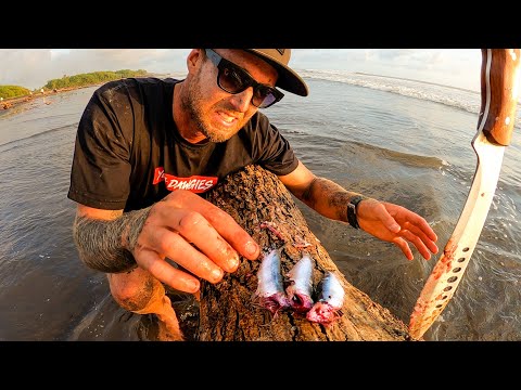 CONSTRUYENDO UN REFUGIO DE SUPERVIVENCIA y tú ¿COMERÍAS ESTOS PECES? (encontrados en una playa)