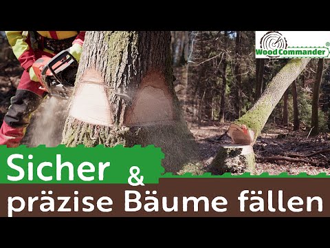 Safety felling technology - felling trees safely and precisely