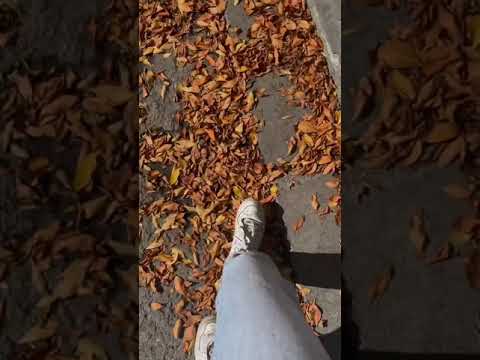 These Views tiktok anais menard