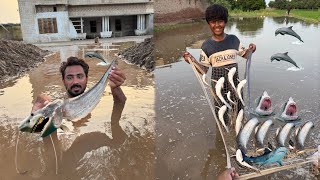 Bahut Sari Fishes 🐠 Pakad Li Aur Village Mein Slab A Gaya 😭
