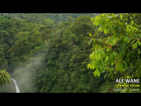 Ale Wane - Terence Chross