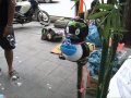 Toy Penguin Blowing Bubbles