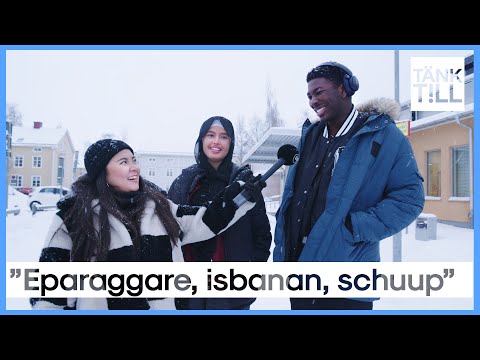 Vad är typiskt Luleå?