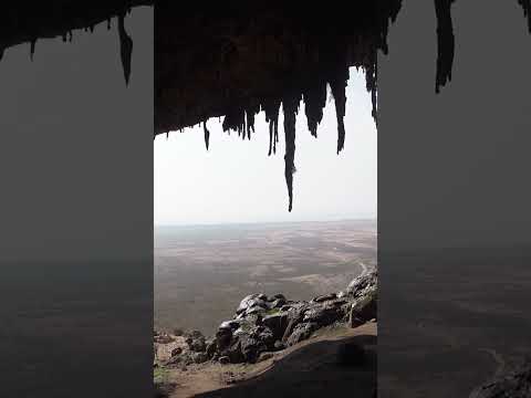 Discover the Hidden Treasures of Socotra Island! 🌍✨
