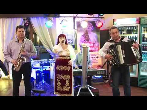 Formatia Vica Grădinaru 2018 - Plină i lumea de dușmani  Cover