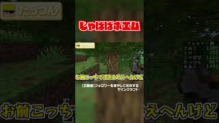 フォロワーを増やすためにポエムを投稿した結果www#からぴち#minecraft