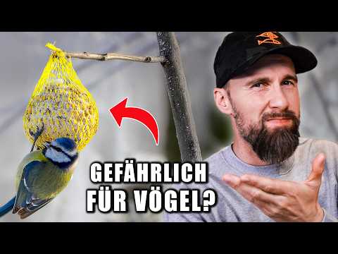 Warum du Vögel NICHT füttern solltest! – Das Problem mit Vogelfutterspendern | Robert Marc Lehmann