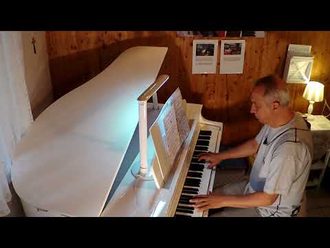 Awaking Moment - Joe Bongiorno  ( Piano Cover by Gabriel Vladescu )