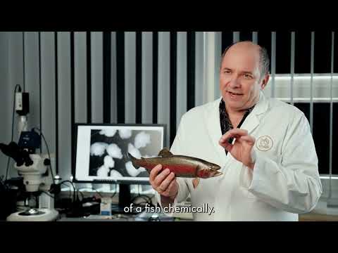 FFoQSI "Food Authenticity" Project introduced by researcher Andreas Zitek