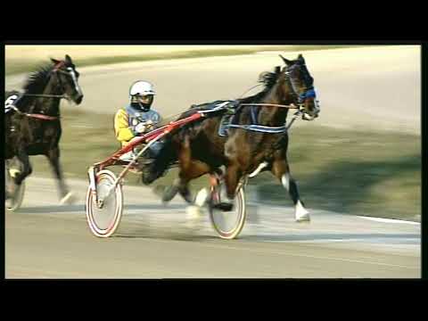 Trotto 28/01/2020 - 6ª corsa