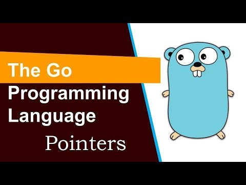 Go programming Tutorial 15 Pointers हिन्दी