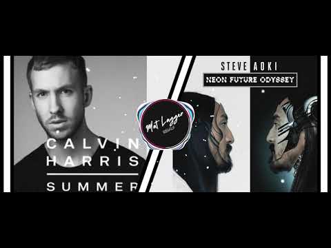 Calvin Harris Vs Steve Aoki - Summer Vs The Power of Now (MAT LAGGER Mashup)