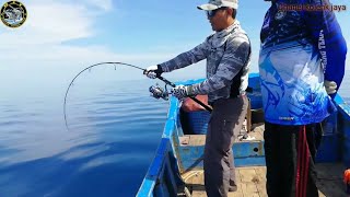 NGEEERIIIII,, SCREAMING REEL STELLA 8000PG STRIKE MONSTER GT JORAN HAMPIR PATAH #mancing #jigging