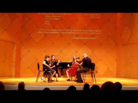 Tetra String Quartet - Haydn's String Quartet, Op. 33 no. 2 The Joke - Mvt. I