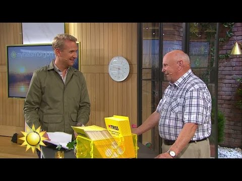 Här skrapar Sven-Olof Samulsson fram sin Triss-vinst - Nyhetsmorgon (TV4)