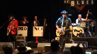 The Mavericks, Waiting for the World to End