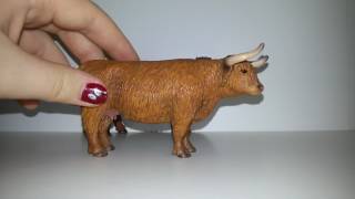 Ссылка