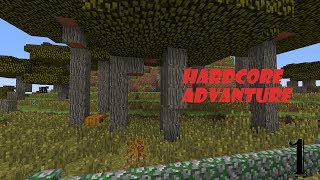 Hardcore Advanture Ep:1 Village Defender