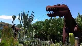 How to Design with Succulents and Cacti