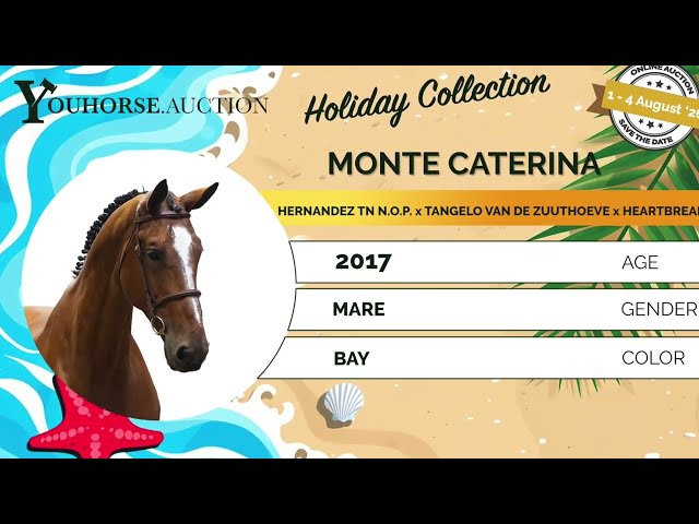 Monte Caterina showvideo