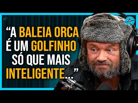 IS THE ORCA WHALE A KILLER?