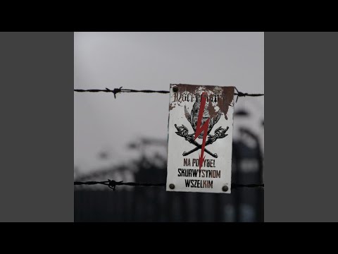 Kurwy, możecie zaczynać