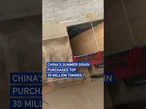 China's summer grain purchases top 30 million tonnes #coolchina