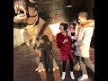 Peppa Pig World 2019 The Birchmores