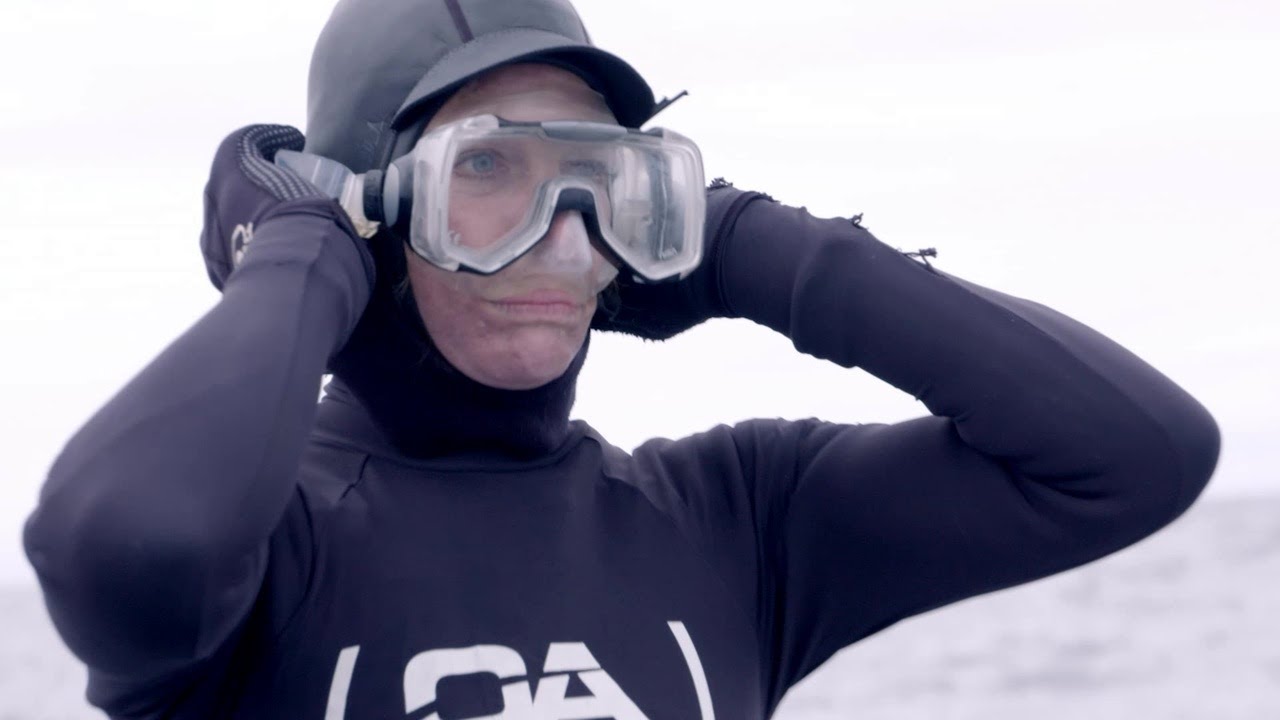 Swimming With Whales: Epic Freediving Adventure in South Africa