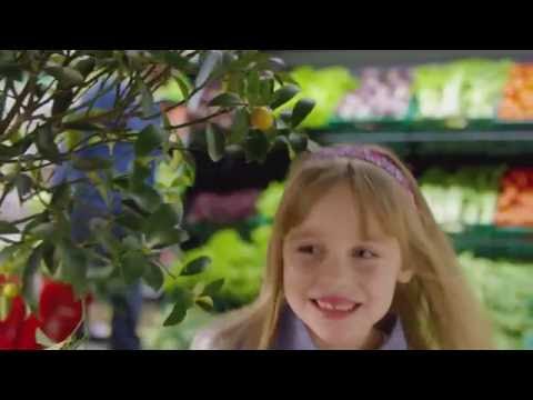 Idea voće i povrće: Odaberi zdravo, uberi sveže