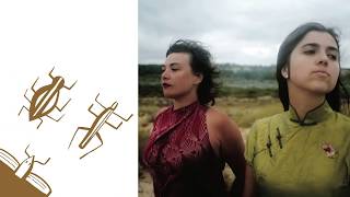 Birds on a wire | Rosemary Standley - Dom La Nena