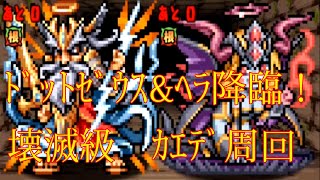 【パズドラ】【202001 ドットゼウス＆ヘラ降臨！ ドットクロニクル 壊滅級 カエデ周回】（マルチ）