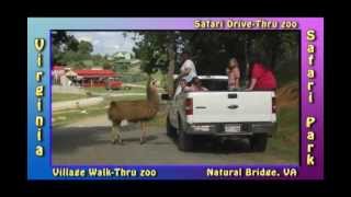 preview picture of video 'Virginia Safari Park Drive Thru feeding animals part 4'