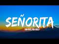 Shawn Mendes Camila Cabello Señorita Lyrics Letra
