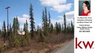 preview picture of video 'Mile 2.5 Nabesna Road, Slana, AK Presented by Katrina Benton.'