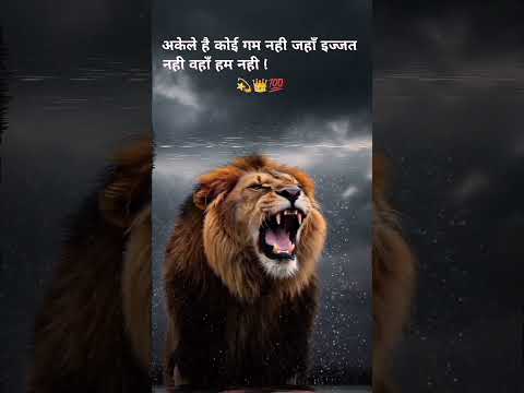 #shorts#attitude#viral#status#quotes#speech #whatsappstatus#lionattitude#sayari