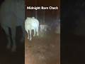 Just Looking For 3 Pair Of Eyes In The Back There