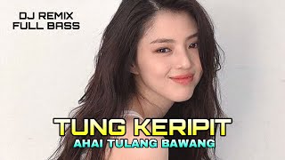 Download lagu DJ ENAK TUNG KERIPIT AHAI TULANG BAWANG mp3