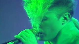 A FLOCK OF SEAGULLS  -Transfer Affection (Live Sight And Sound )