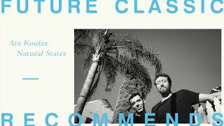 Ara Koufax - Natural States