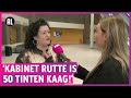 Bizarre campagne VVD: 'De grote Pinokkio-show!'
